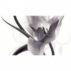 Панно глянцевая Pulsar КПН16PulsarC Dec Panno C 45x25 9мм  синий Ceradim