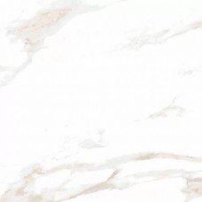 Керамогранит глянцевая Calacatta Regal Gold белый 60x60 8мм  Ceradim