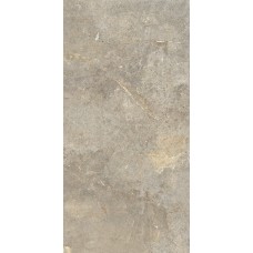 Керамогранит матовая Everstone 10893241 Everbrown Ret 120x60 9.5мм  коричневый Cercom