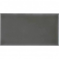 Керамическая плитка глянцевая Studio ADST1022 Liso Eucalyptus 20x10 9мм  серый Adex