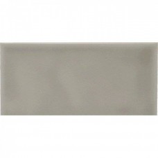 Керамическая плитка глянцевая Studio ADST1027 Liso Graystone 20x10 9мм серый Adex Керамическая плитка глянцевая Studio ADST1027 Liso Graystone 20x10 9мм серый Adex