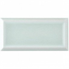 Бордюр глянцевая Studio Adst1068 Liso Framed Fern 15x7 9мм  зеленый Adex