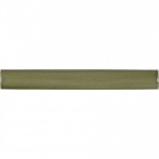 Бордюр глянцевая Studio ADST4040 Barra Lisa Eucaliptus 20x3 9мм  зеленый Adex