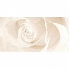 Вставка глянцевая Effecta Бежевая 60x30 10мм  бежевый Cersanit