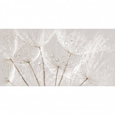 Декор глянцевая Avangarde AV2L091DT-36 Серый 60x30 9мм  бежевый Cersanit