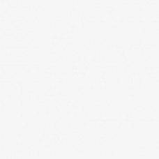 Керамогранит сатинированная Oh My Dog Basic White 25x25 10мм  белый Codicer