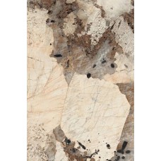 Керамогранит полированная Sunhearrt MPL-062342 Patagonia Bronze High Gloss 280x120 9мм  бежевый Creto