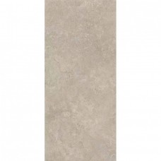 Керамогранит матовая Shell 11021 LB 120x60 10мм  серый Creto