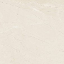 Керамогранит матовая Pulpis Ivory E-5026/MR/600X600X9 60x60 9мм  бежевый DAKO