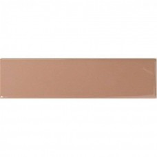 Керамическая плитка глянцевая Match 130856 Tan Gloss 25x6 8.5мм  коричневый Dna Tiles