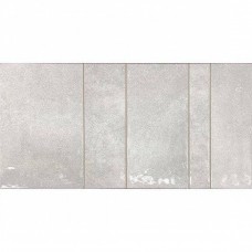 Керамическая плитка глянцевая Kian DG_KI_SI Silver 60x30 11мм  серый Dualgres